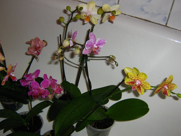 2418509480075666569sNaAow_fs