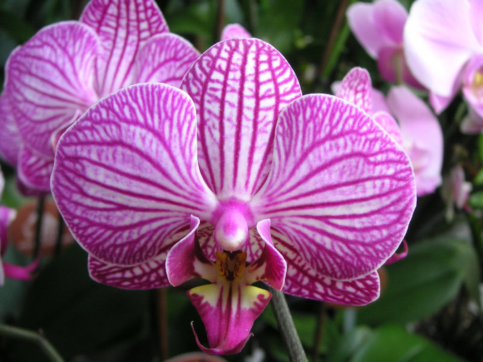 2436879880075666569MoHbXB_fs