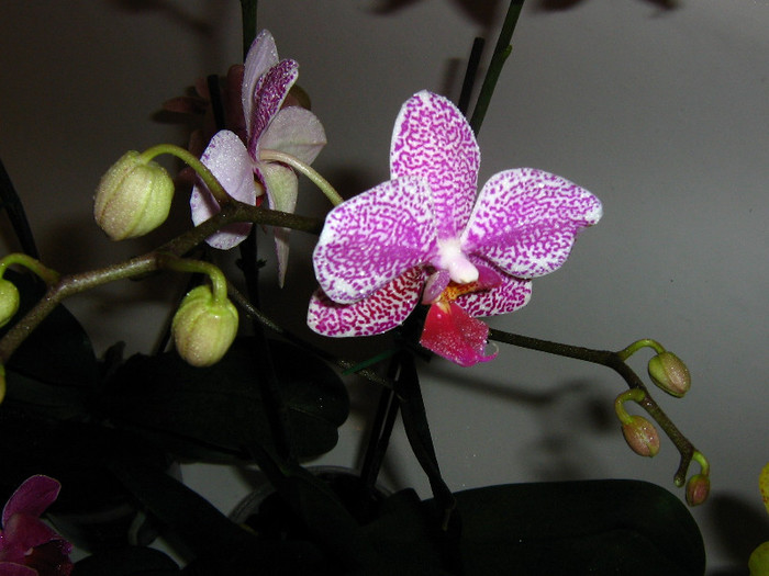 2438367870075666569nEmmLh_fs