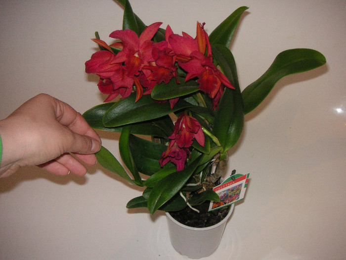 2443514230075666569PaqhJt_fs