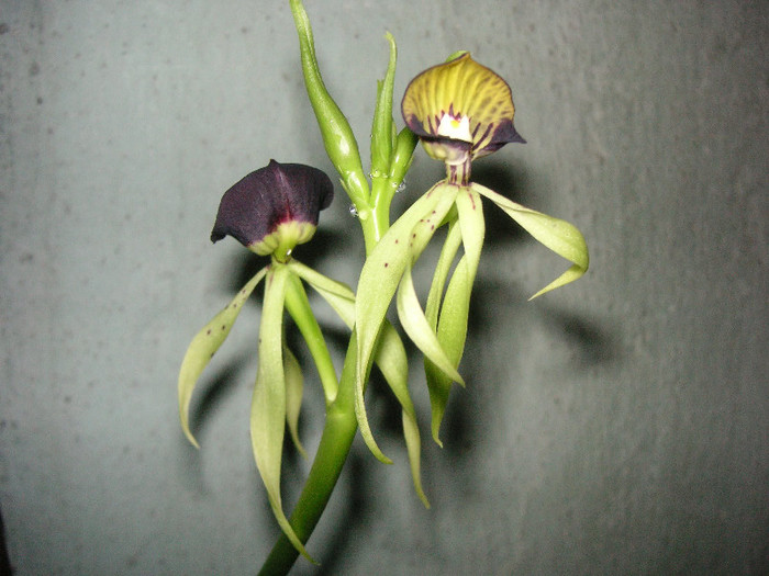 2453681700075666569uyhTtB_fs