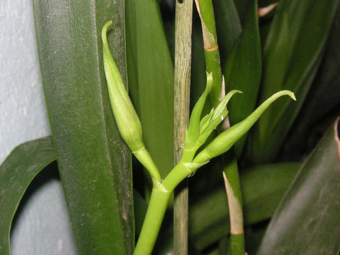 2461394750075666569DZQEFa_fs