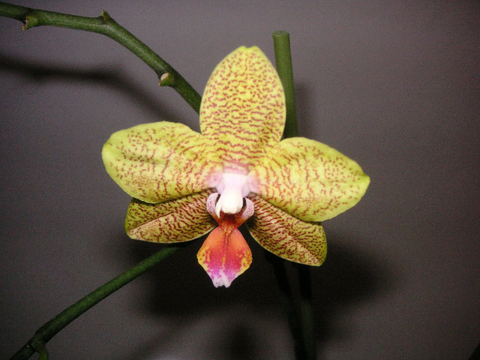 2467206500075666569XEJGiH_fs