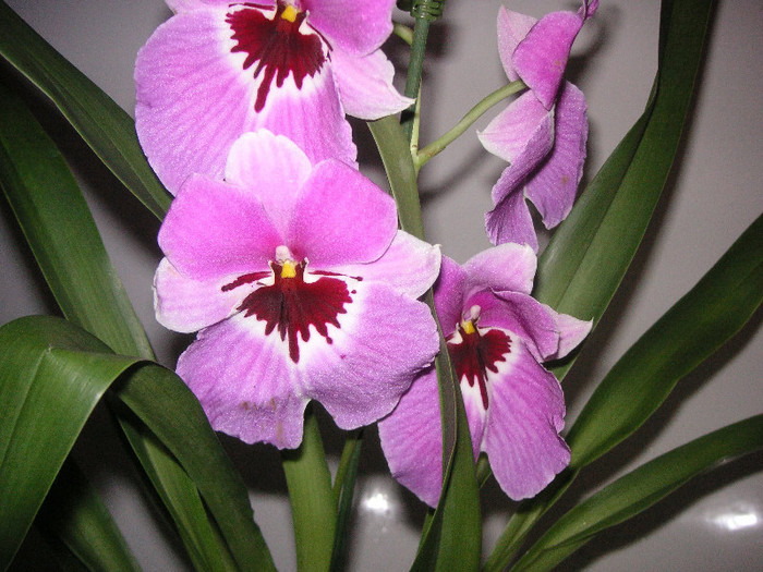 2487925950075666569eeyHCj_fs