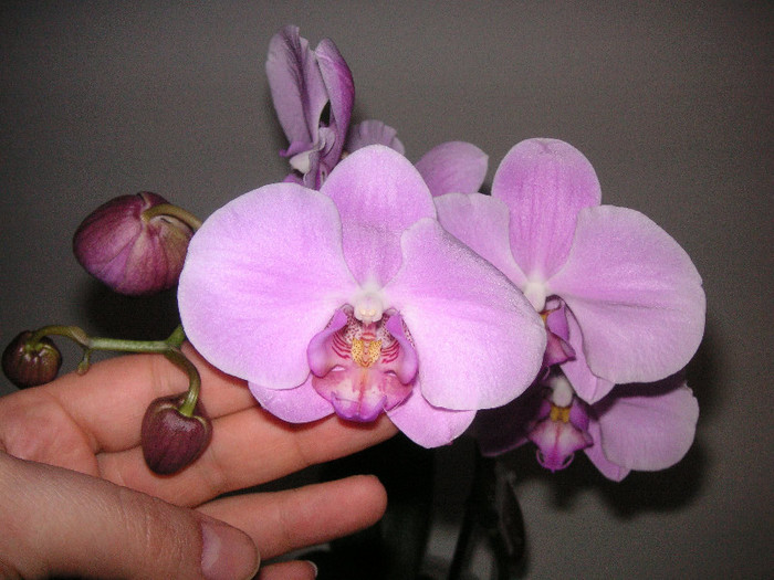 2490614750075666569UUxlYF_fs