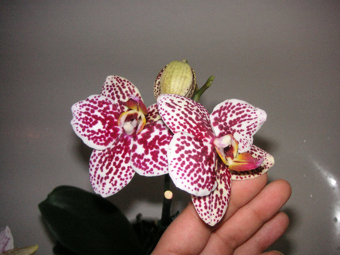 2493586990075666569cQcmWY_fs