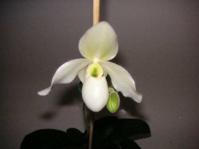 2516211800075666569BNtvFE_fs