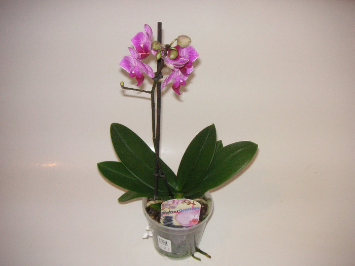 2542473270075666569hQVlAJ_fs