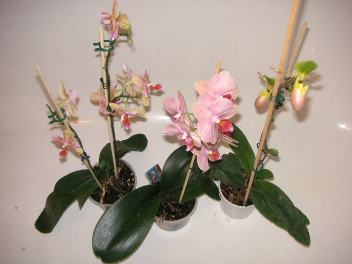 2581475240075666569xfJwMN_fs