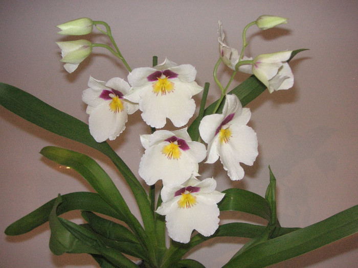 2583434810075666569jAHsZo_fs