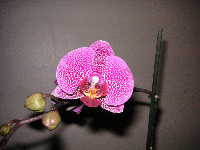 2601580900075666569dhTTJz_fs