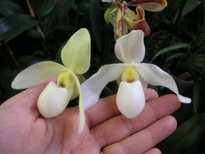 2638862460075666569HJgVPN_fs