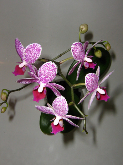 2784341050075666569bcAvKd_fs