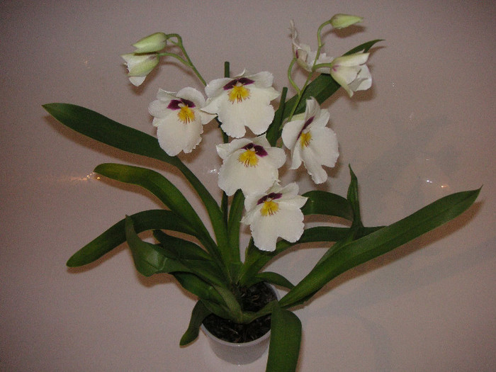 2792508220075666569iTqNfx_fs