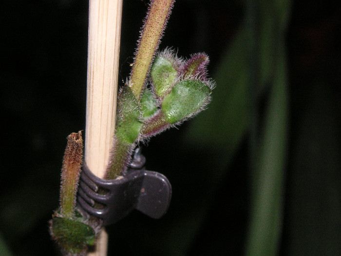 2824299230075666569dDDyoS_fs