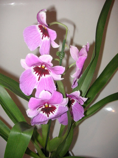 2829325090075666569hXilQj_fs