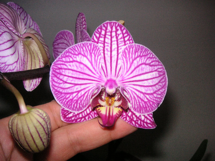 2837064770075666569wlXGQJ_fs