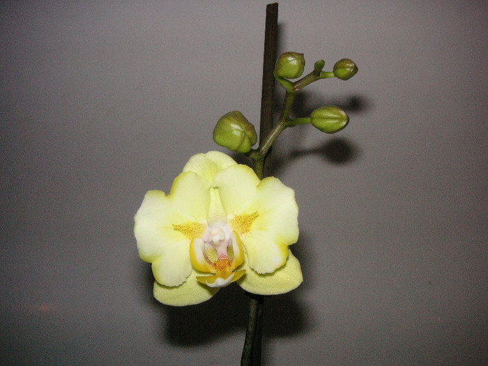 2847695640075666569JCTWlW_fs