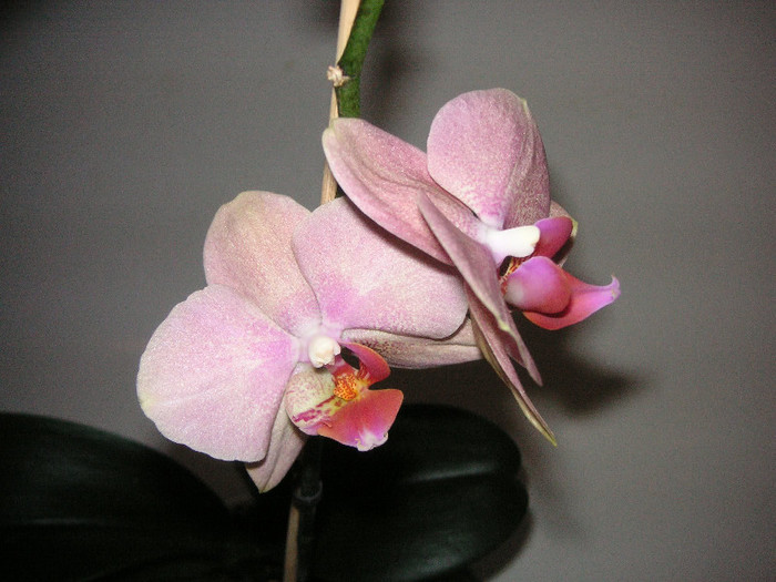 2867545270075666569SKTKpm_fs