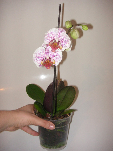 2900236860075666569dVKMNN_fs