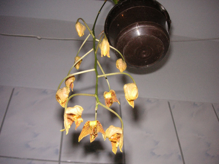 2914227750075666569NKmfwX_fs