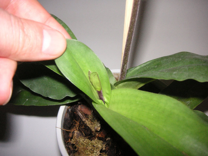 2926677690075666569XnqSzw_fs