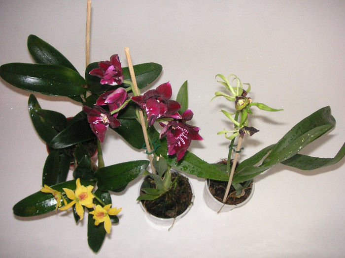 2981805040075666569DTUpGf_fs