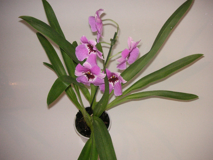 2991059980075666569JkhYQF_fs