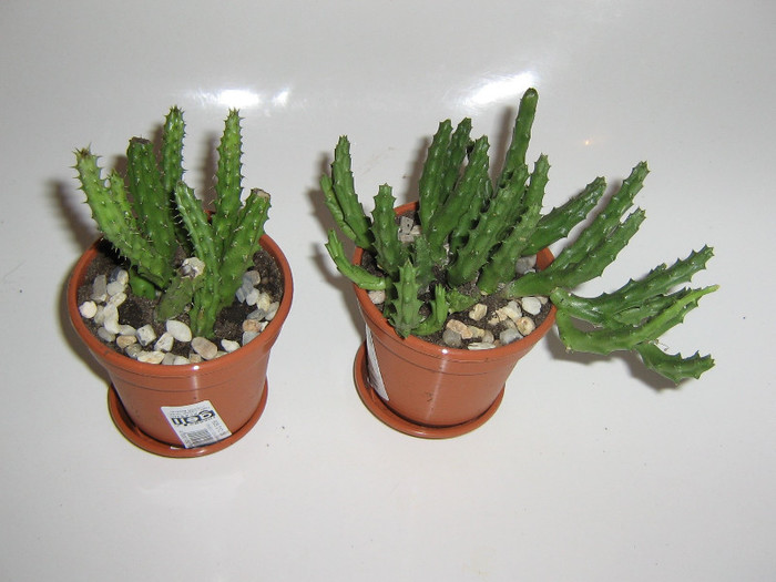 2174623660075666569LBNWpI_fs