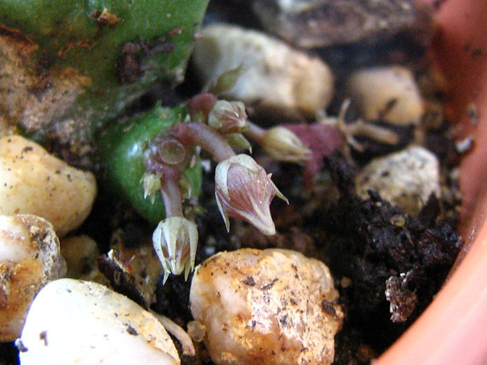 2380523860075666569zHgBUs_fs