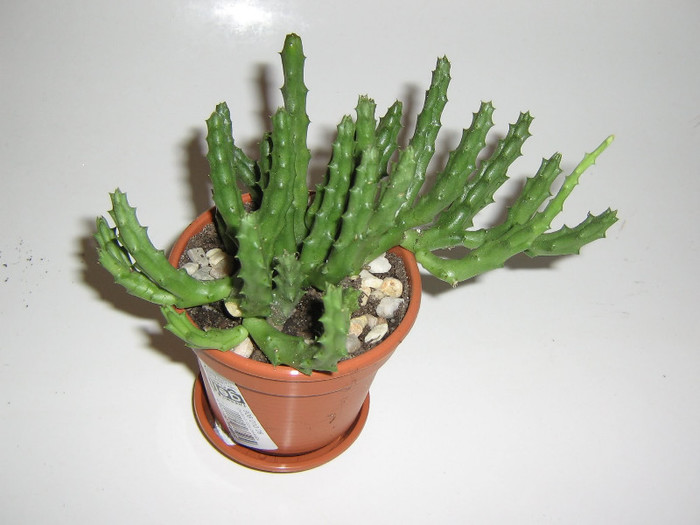 2888530480075666569jfZczU_fs