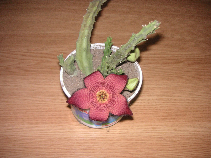 2971486010075666569wTAigz_fs