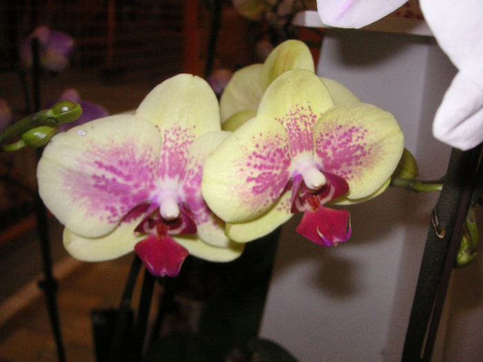 2555580070075666569aOYyyn_fs