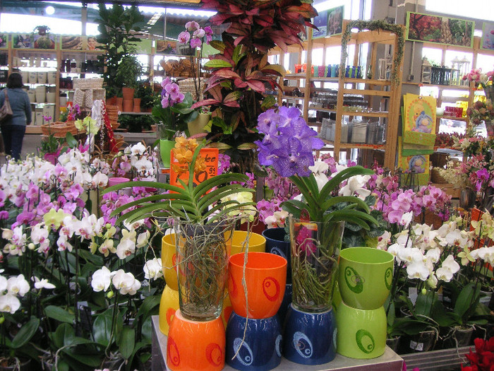 2599755430075666569ZpqbNq_fs