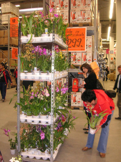 2658291760075666569AUctpC_fs