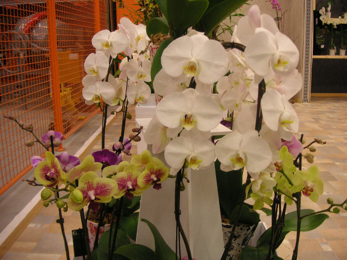 2730326890075666569LBzVIw_fs