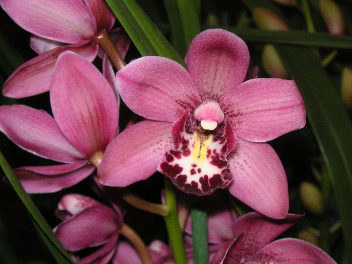 2891389480075666569xjHfsl_fs