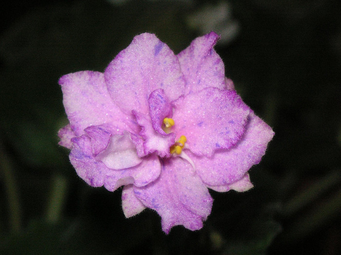 2532878720075666569xCXpTo_fs