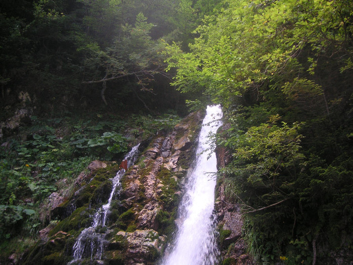 2348691400075666569XEyusF_fs - Busteni