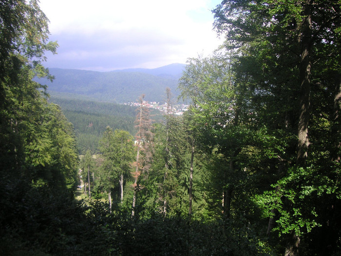 2379432060075666569INohXt_fs