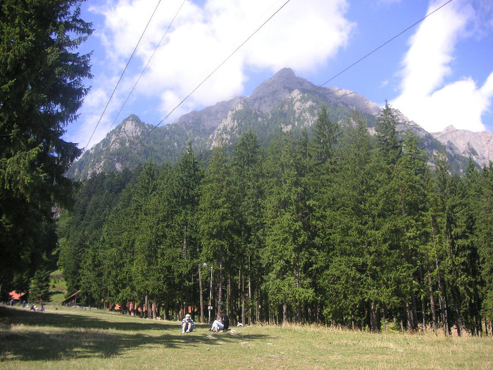 2547662510075666569BNGnuc_fs