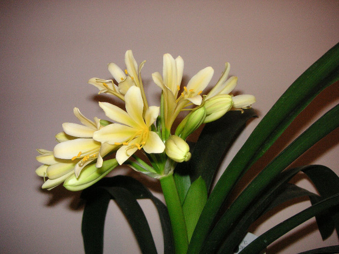 2783985590075666569cgraEP_fs