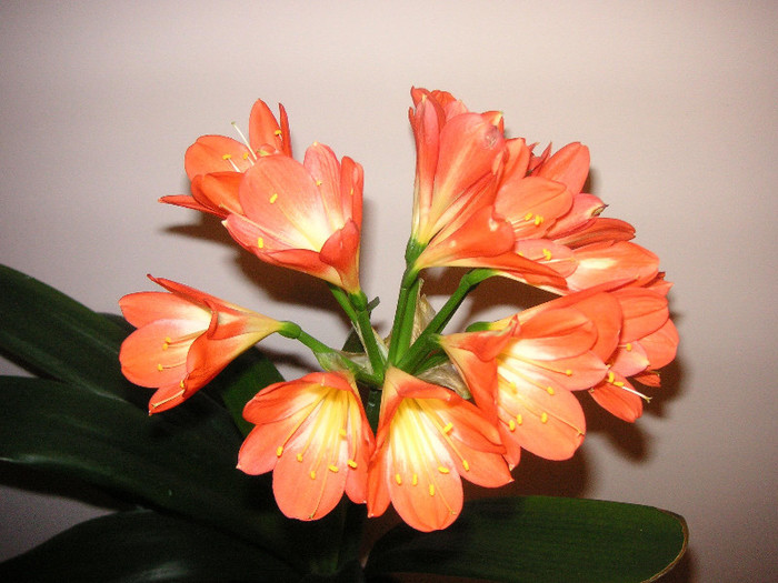 2839756410075666569HvgKFR_fs