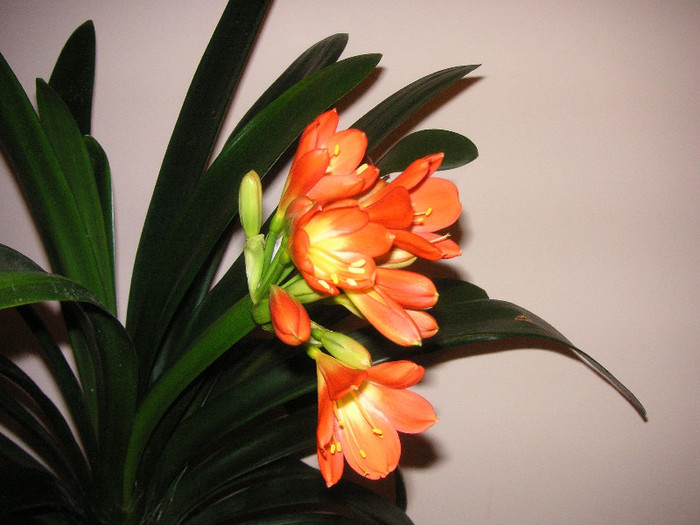 2907702150075666569Lozwtp_fs