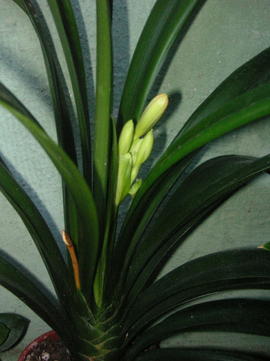 2909407560075666569HrIOgy_fs