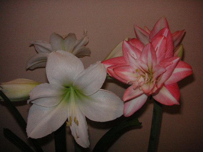 2015148450075666569kLXKeb_fs