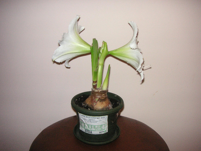 2027380500075666569MtTNbA_fs