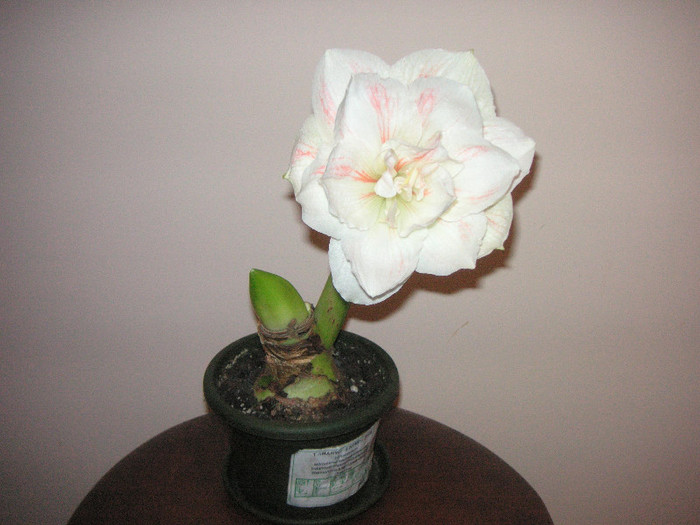 2044882570075666569aDeVMn_fs