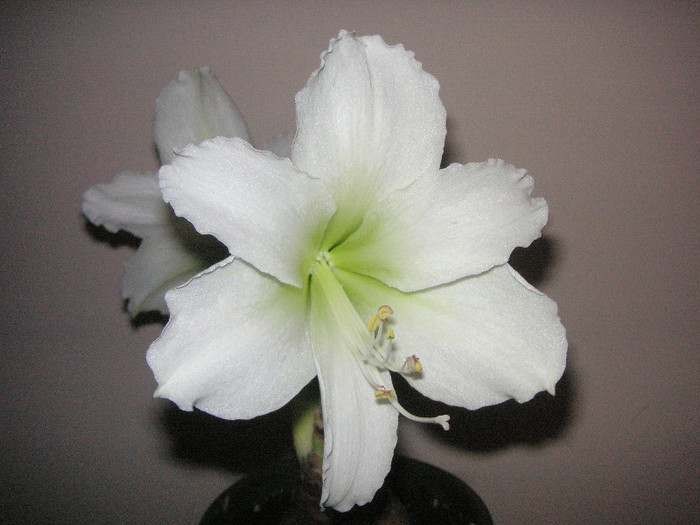 2052368070075666569LvwKOL_fs