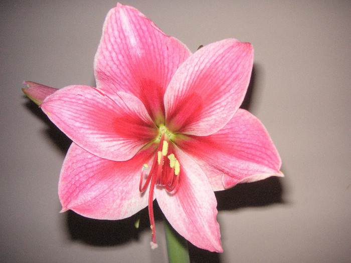 2064070560075666569bUdIzE_fs